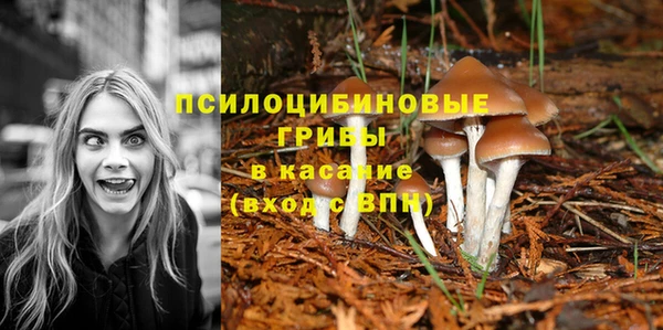 МДПВ Беломорск