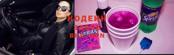 гашик Белокуриха
