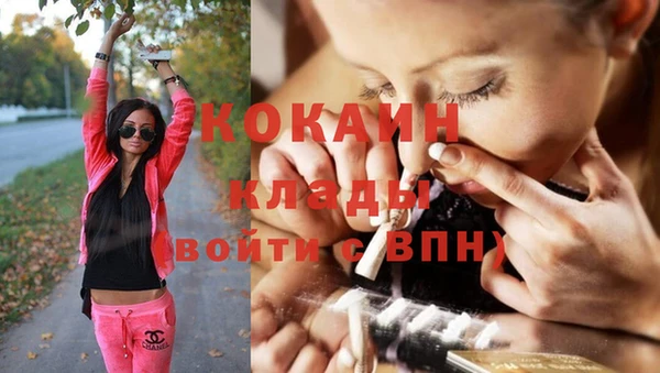 гашик Белокуриха